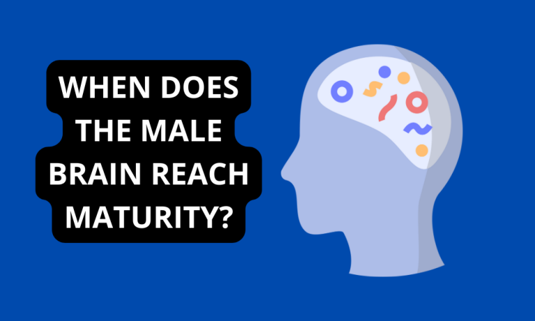 When Does the Male Brain Reach Maturity?
